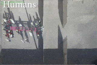 an aerial view of a group of people walking on a sidewalk with the words humans written above them .
