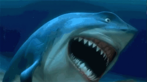 Bruce Nemo GIF - Bruce Nemo Laughing GIFs