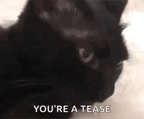 a black cat is looking at the camera with the words `` you 're a tease '' written on the bottom .
