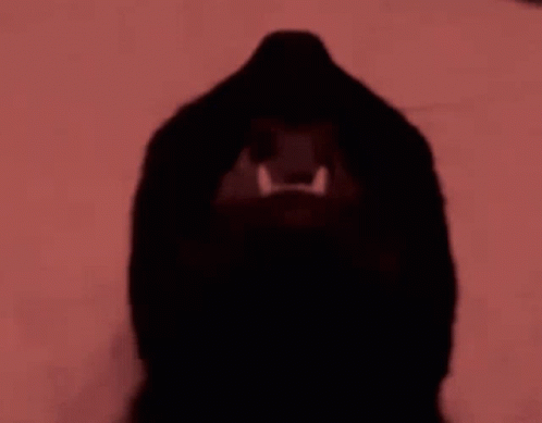 Black Cat Beuh GIF - Black Cat Beuh Bruh Meme GIFs