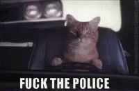 Fuck The Police Police Chase GIF - Fuck The Police Police Chase Escaping GIFs