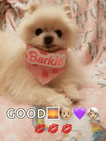 Barkie Snarl Impressed Not Dog Pomeranian Cute Puppy GIF - Barkie Snarl Impressed Not Dog Pomeranian Cute Puppy GIFs