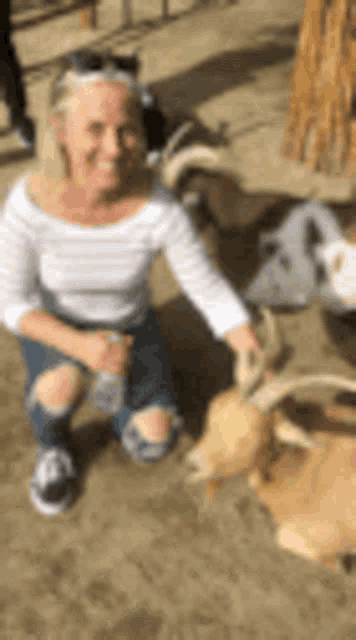 a woman is kneeling down next to a goat in a field .