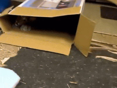 a cardboard box with a picture of a car on it