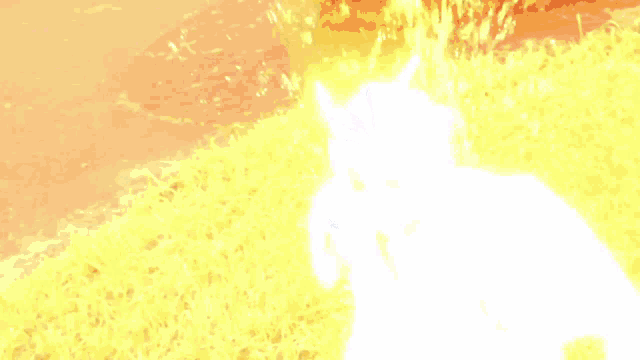 a silhouette of a person with horns is lit up in a field of grass