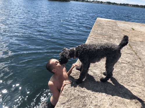Kissing Dog In Water GIF - Kissing Dog In Water GIFs
