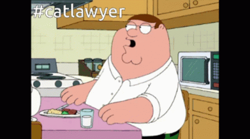 Cat Lawyer GIF - Cat Lawyer Catlawyer GIFs