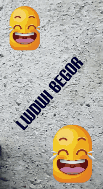 two smiley faces with tears coming out of their eyes and the words " ludwi begor " on the bottom