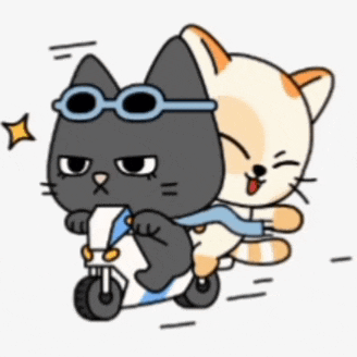 a black cat wearing sunglasses is riding on the back of a white cat