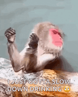 a monkey is sitting on a rock with its fist in the air and saying `` i just gotta slow down drinking '' .