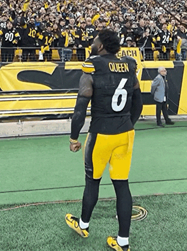 a football player wearing a black jersey with the number 6 on it
