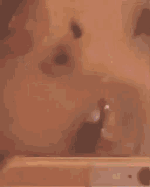 a close up of a person taking a selfie with their cell phone .