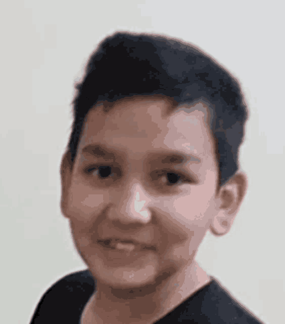 a young boy is smiling and looking at the camera .