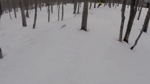 Skier Fail GIF - Skier Fail Skiing GIFs