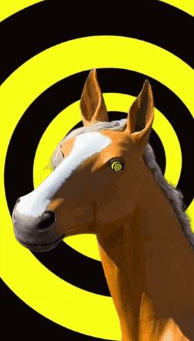 a horse with hypnotic eyes is standing in front of a spiral