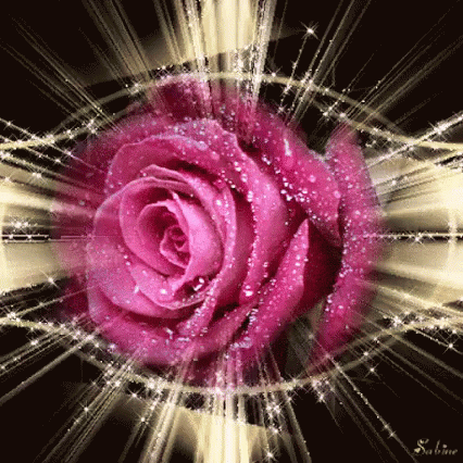 Rose Pink Rose GIF - Rose Pink Rose Glittering GIFs
