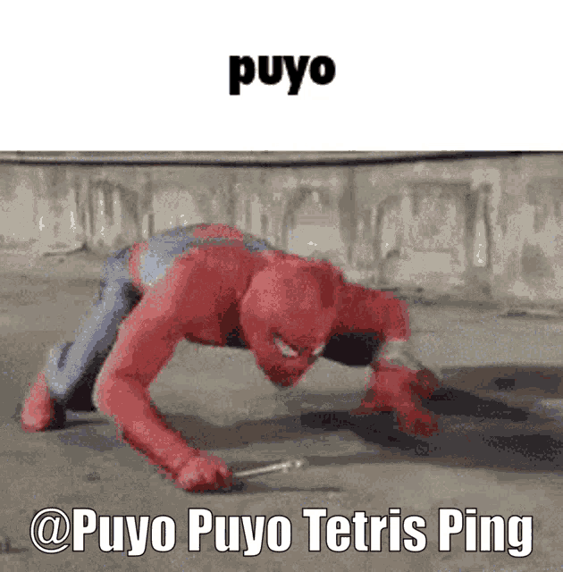 Puyo GIF - Puyo GIFs