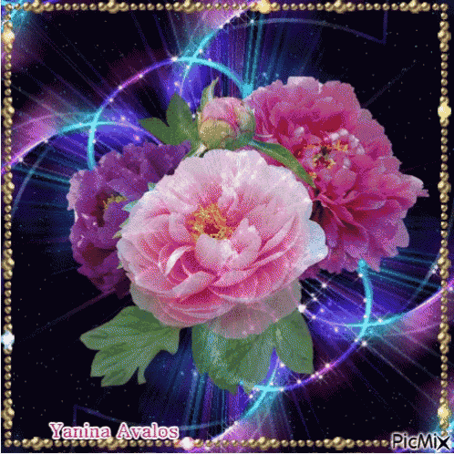 a bunch of pink and purple flowers with yanina avalos written on the bottom