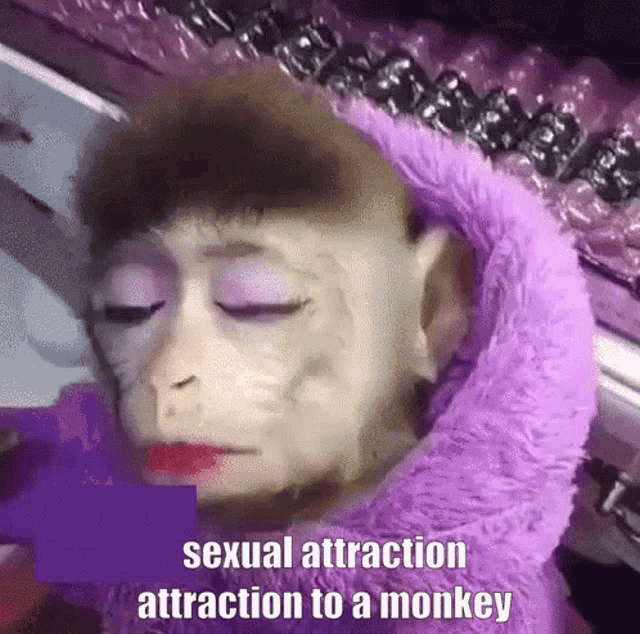 Hot Monkey Sexy Monkey GIF - Hot Monkey Sexy Monkey Monkey Hot GIFs