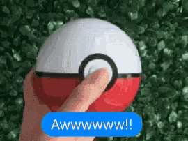 a person is holding a red and white pokeball with a button that says awwwwww !