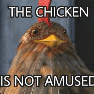 a picture of a chicken with the words the chicken is not amused below it