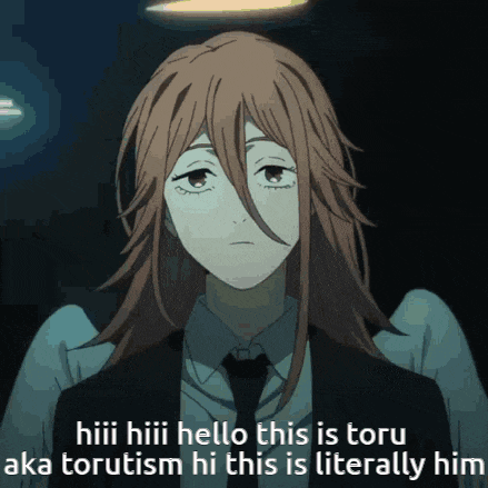 a picture of a girl with long hair and a caption that says hiii hiii hello this is toru aka torutism