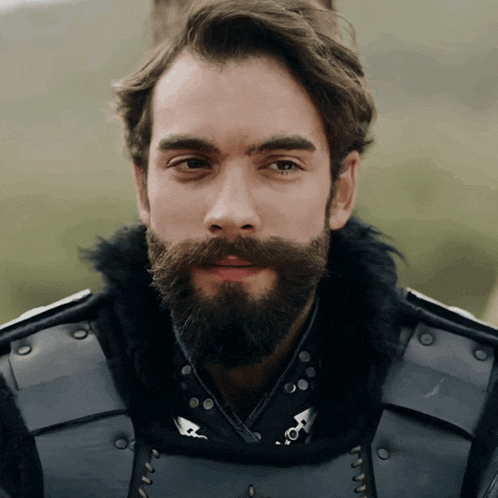a man with a beard and a fur collar is wearing armor