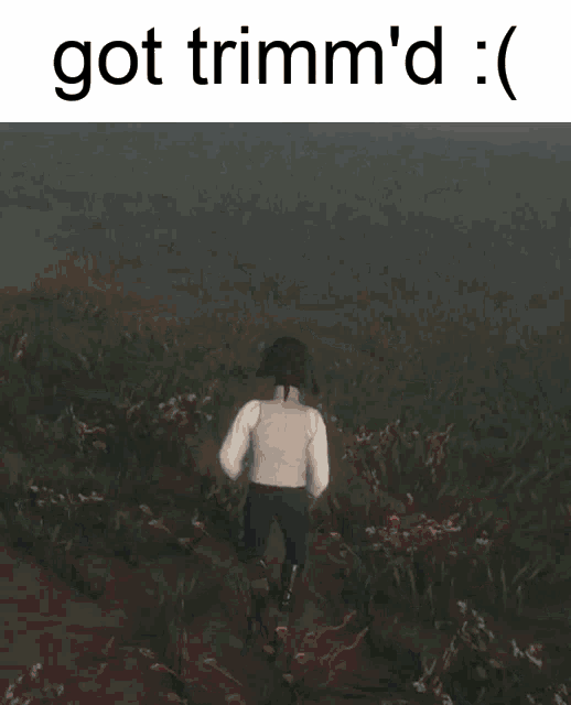 a picture of soldiers in a field with the caption got trimm 'd :