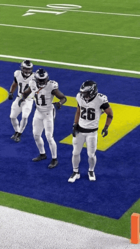a football player wearing number 26 stands on the field