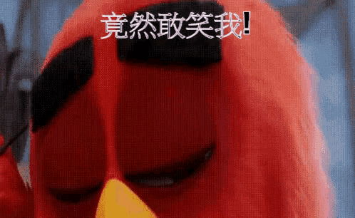 an angry bird with chinese writing on it 's head