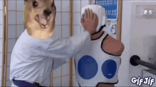 a man with a dog 's head on his chest is hitting another man with a helmet on .