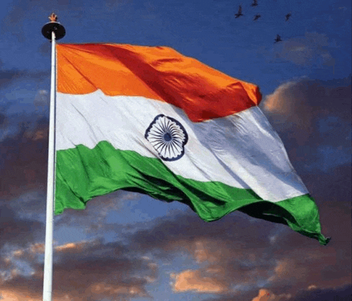 an indian flag is flying in the wind with birds flying in the background