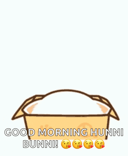 a cartoon cat is sitting in a box and saying good morning hunni bunni