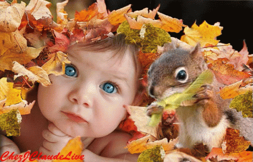Baby Squirrel GIF - Baby Squirrel GIFs