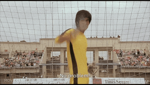 No Problem Shaolin Soccer GIF - No Problem Shaolin Soccer Bruce Lee GIFs