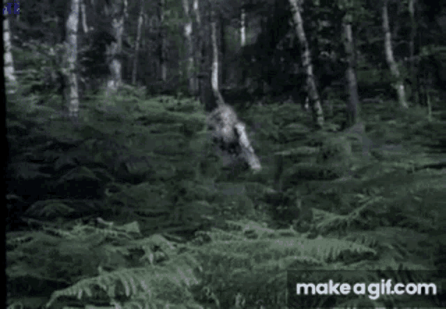 Juernes Monty Python GIF - Juernes Monty Python Im Finally Out GIFs