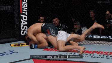 two men are wrestling in a cage with ufc 2:12 on the clock