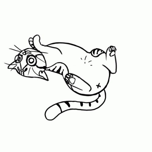 Cat Belly GIF - Cat Belly Tail GIFs