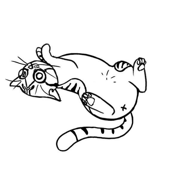 a black and white drawing of a cat laying on its back with a x on its belly .