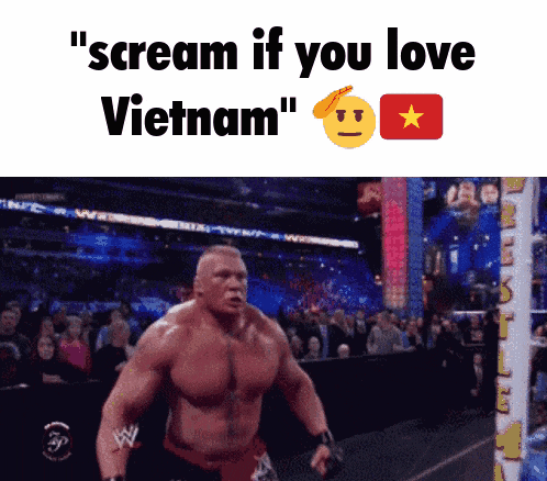 a wrestling ring with the words " scream if you love vietnam " on the bottom