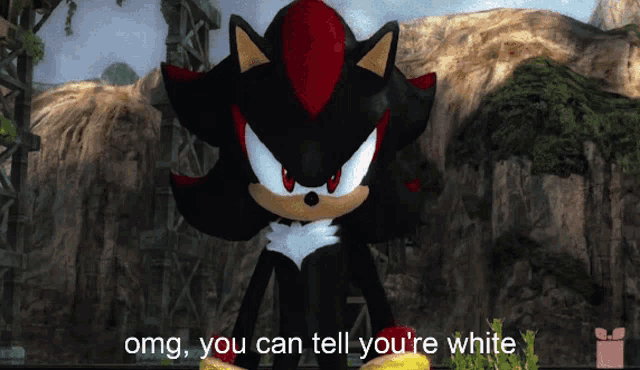 shadow the hedgehog says " omg you can tell you 're white " in a video game