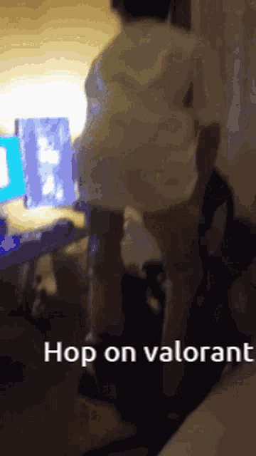 a person standing in front of a computer screen with the words hop on valorant written below them