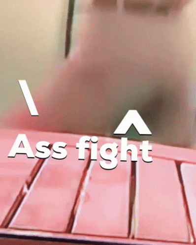 Big Ass GIF - Big Ass Ass Fight GIFs