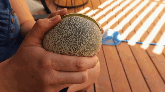 a person holding a cantaloupe in their hands on a wooden deck