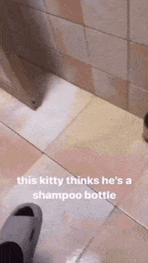 this kitty thinks he 's a shampoo bottle with a slipper on the floor