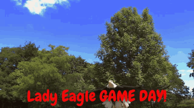 a lady eagle game day advertisement with a tree in the background