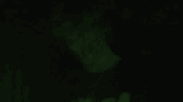 a green background with a shadow of a person on it