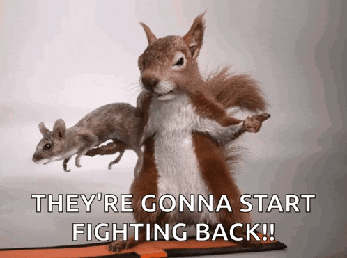 a squirrel is holding two mice and they 're gonna start fighting back