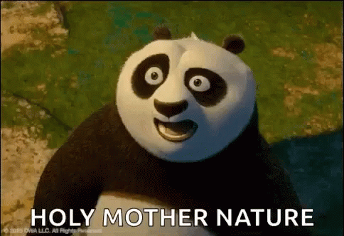 Kung Fu Panda Holy Mother Nature GIF - Kung Fu Panda Holy Mother Nature Shocked GIFs