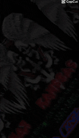 a screenshot of a video game that says capcut at the bottom